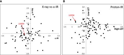 USP9X Is Required to Maintain Cell Survival in Response to High-LET Radiation